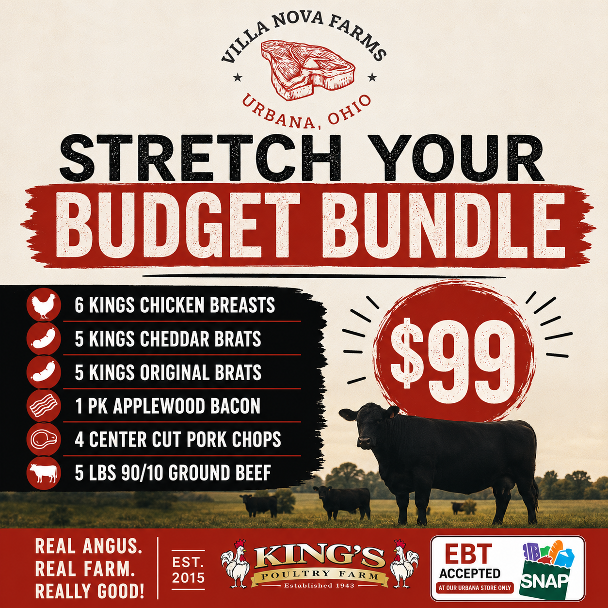Stretch Your Budget Bundle