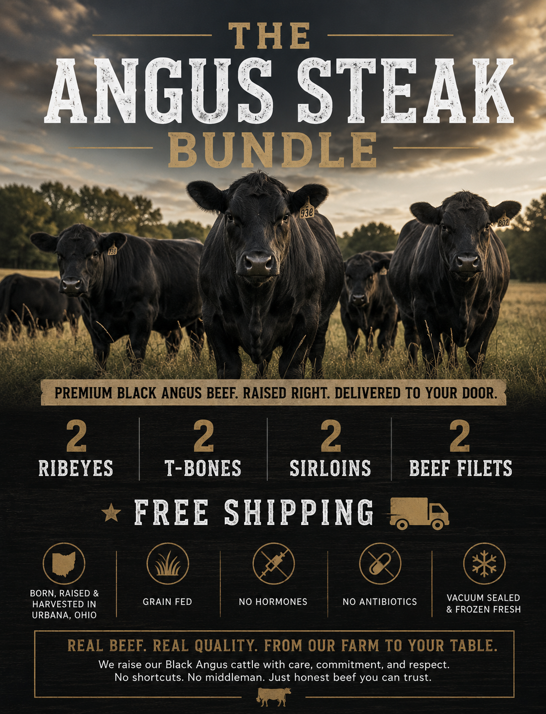 The Angus Steak Bundle - Ships Free