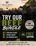 Try Our Beef Bundle
