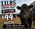 80/20 Ground Beef Boxes - Best Seller! Ships Free
