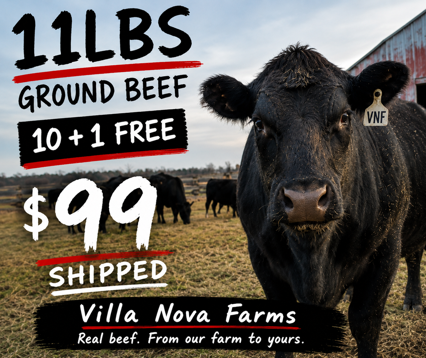 80/20 Ground Beef Boxes - Best Seller! Ships Free