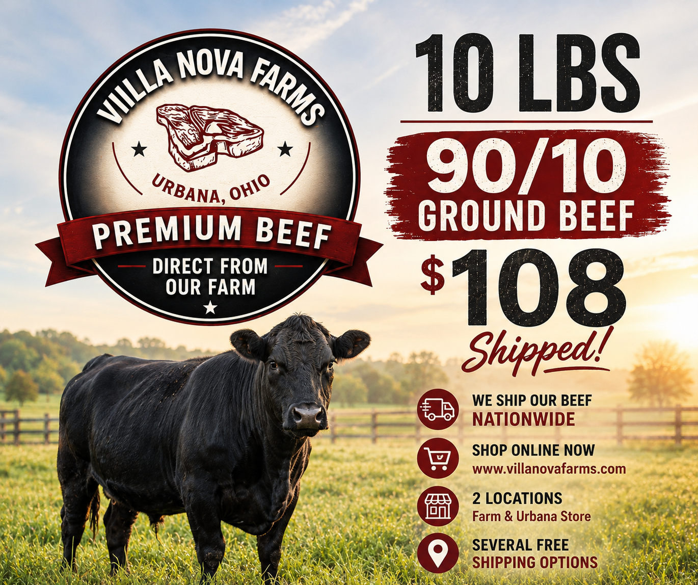 10lbs 90/10 Ground Beef - Free Shipping