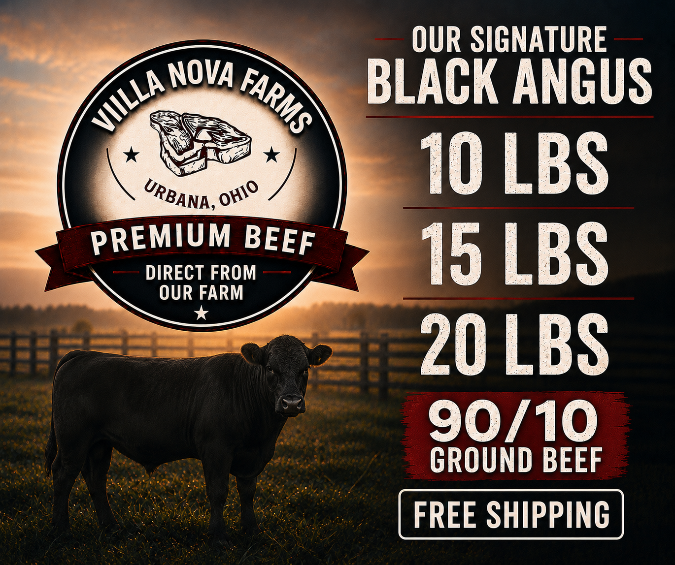 90/10 Ground Beef - Free Shipping