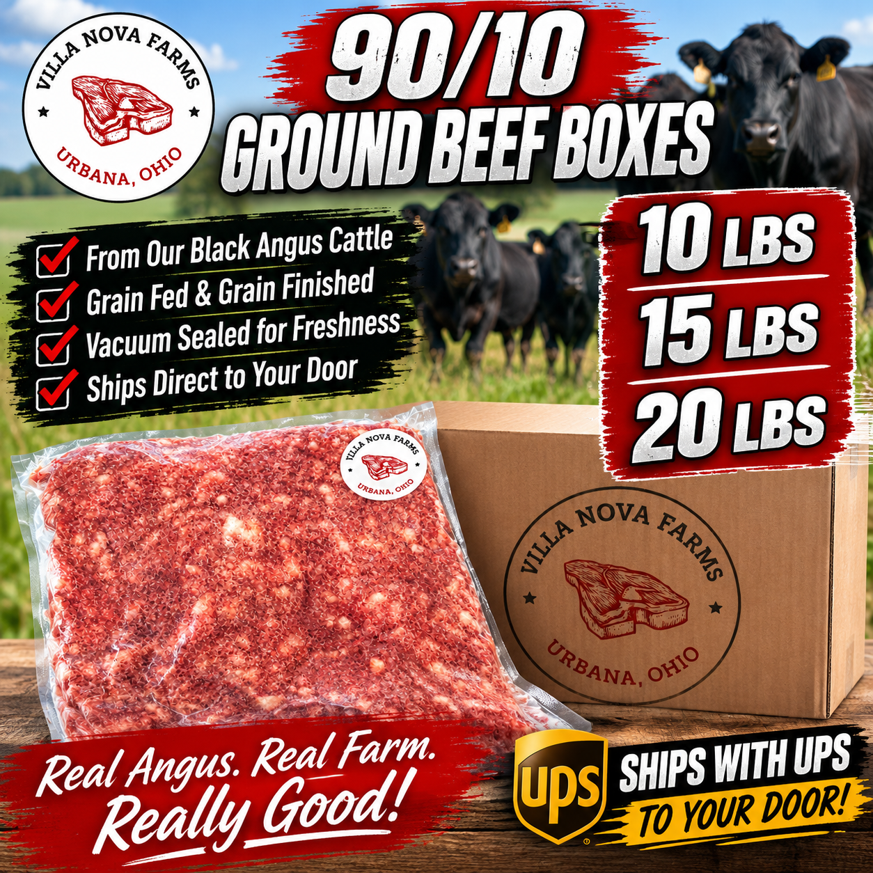 90/10 Ground Beef